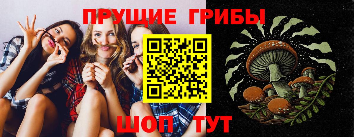 Артём  даркнет сайт  Вход с VPN  Галлюциногенные грибы Psilocybine cubensis 